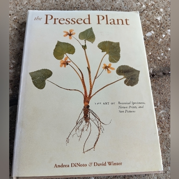 The Pressed Plant Dried Plants Dried Flowers Plant Drying Flower Drying - Picture 1 of 5